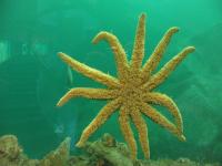 Albums/20060200-New Zealand 2006/20060211-Milford Sound/53